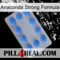 Anaconda Strong Formula 21